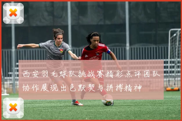 西安羽毛球队挑战赛精彩点评团队协作展现出色默契与拼搏精神