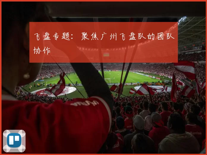 飞盘专题：聚焦广州飞盘队的团队协作