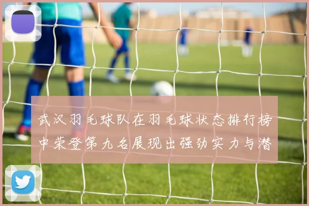 武汉羽毛球队在羽毛球状态排行榜中荣登第九名展现出强劲实力与潜力